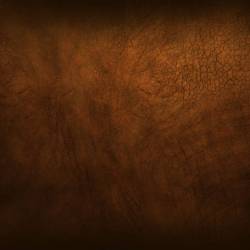 Vale Of Amonition : Infernal Supremacy - War of Incantations Vale Of Amonition : Infernal Supremacy - War of Incantations